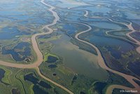 Luftaufnahme eines Flussdeltas