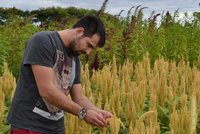 Markus Stetten untersucht Pflanzen im Feld