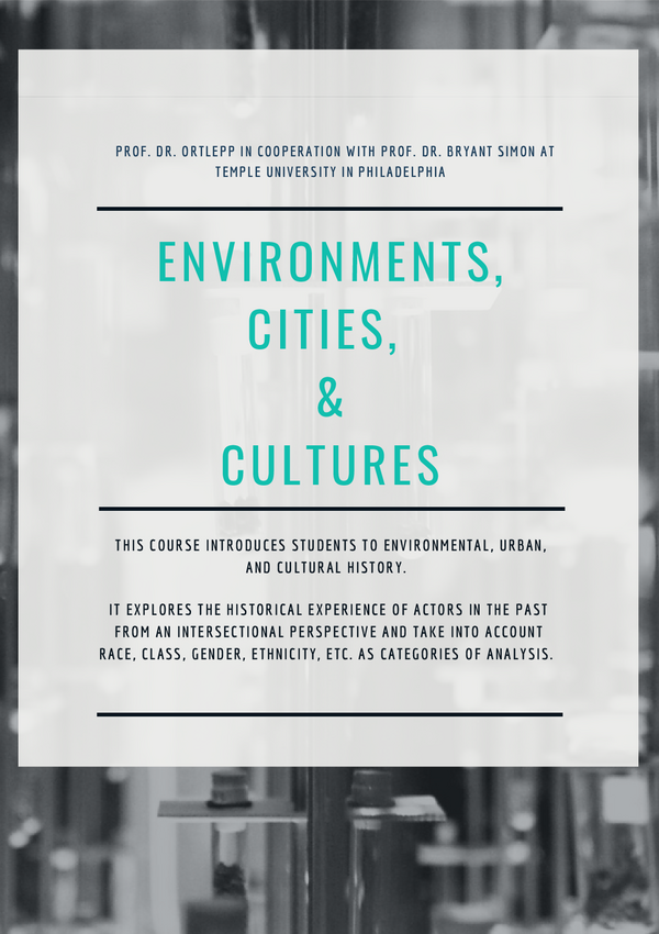 Poster for the course Environments, Cities and Cultures.