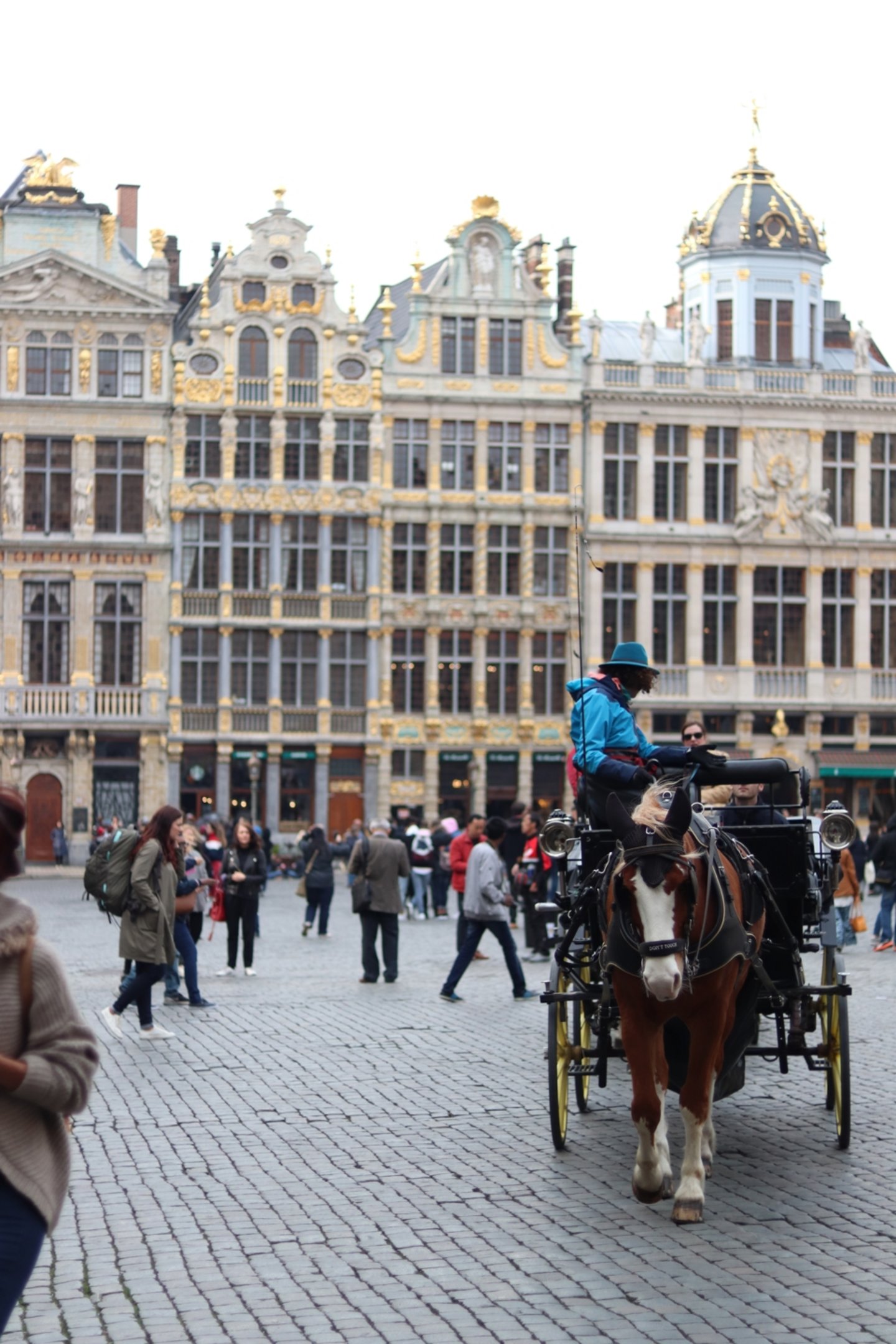 Horse-drawn carriage on the grande place (Grote Markt)