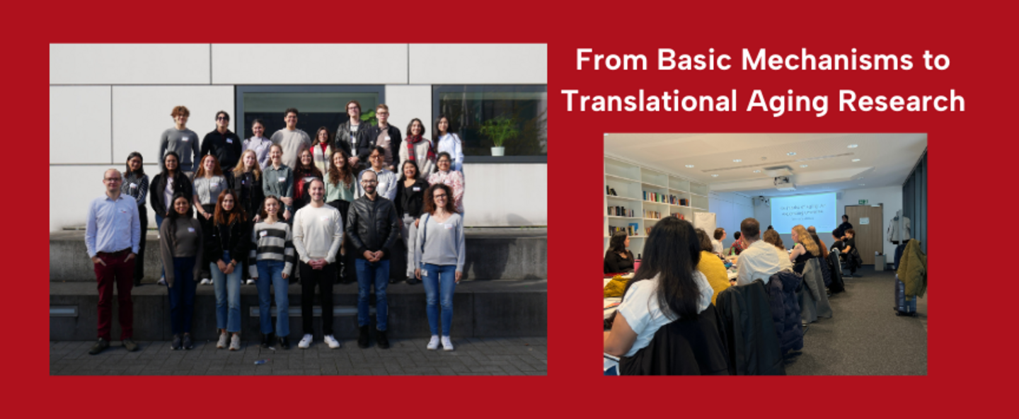 Image with participants of a summer school