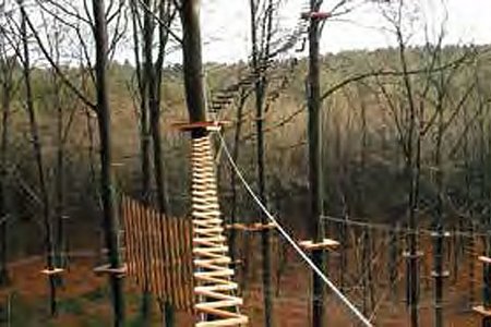 Kletterbrücke im Wald