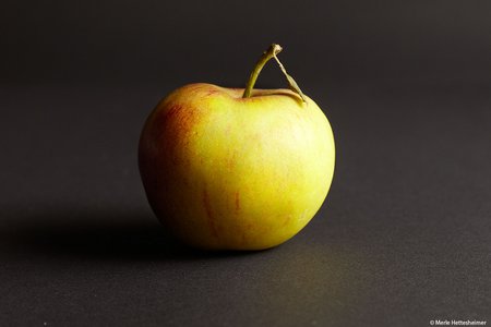 Apfel