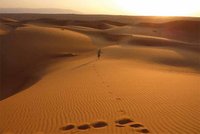 Ein Mensch läuft in der Wüste