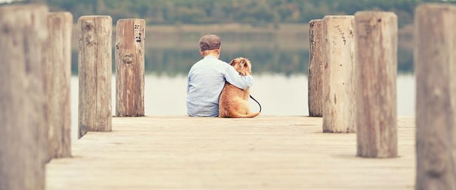 Kind mit Hund sitzt am Ende eines Bootsstegs