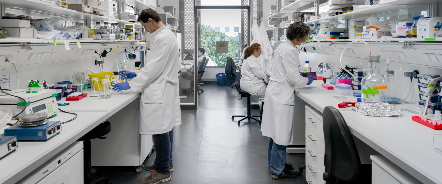 WissenschaftlerInnen arbeiten in einem Labor