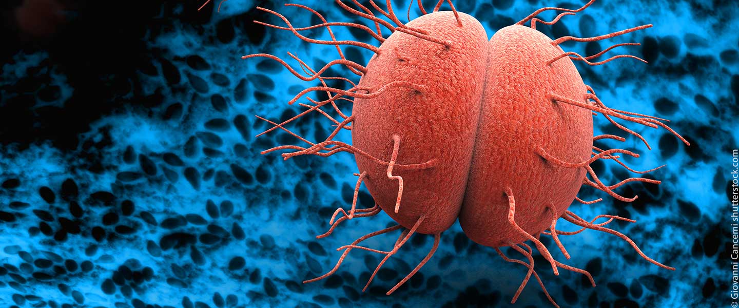 Membrane Potential Influences Antibiotic Tolerance